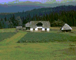 Romanian farm