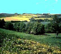 Czech Plains