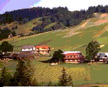 Slovak farmland